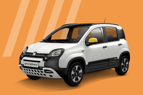Fiat Pandina