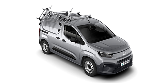 Fiat Professional dakdrager en ladder